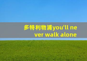 多特利物浦you'll never walk alone